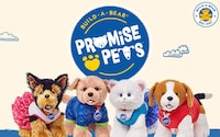 Pet Caretaking-Focused Plush Collections