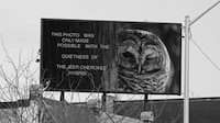 Silent Nature Campaigns Image 1