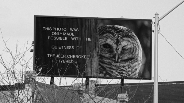 Silent Nature Campaigns