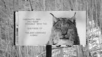 Silent Nature Campaigns Image 4