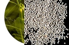 Clear Plant Protein Drinks