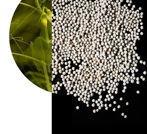 Clear Plant Protein Drinks