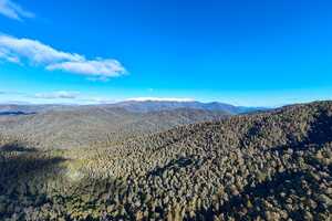 Climate Investment Funds Article Thubnail