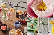 Handcrafted Paper Blooms