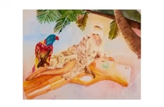 Multimedia Art Exhibitions