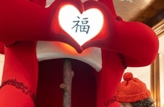 Bold Lucky Dragon Installations