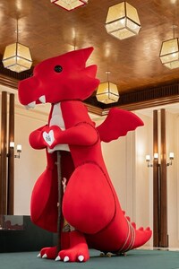 Bold Lucky Dragon Installations Image 2