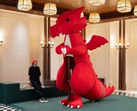 Bold Lucky Dragon Installations Image 3
