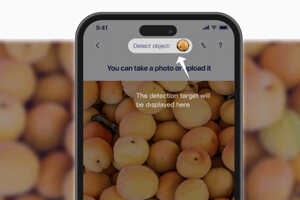 Automated Counting Tools: CountAnything Enables AI Counting Through ...