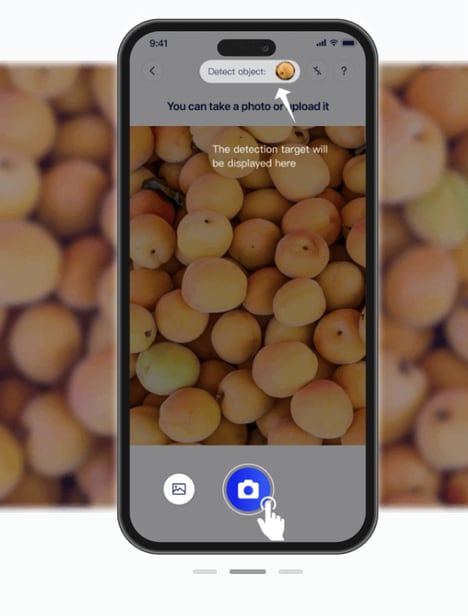 Automated Counting Tools