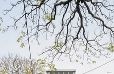 Adaptive Corner Houses