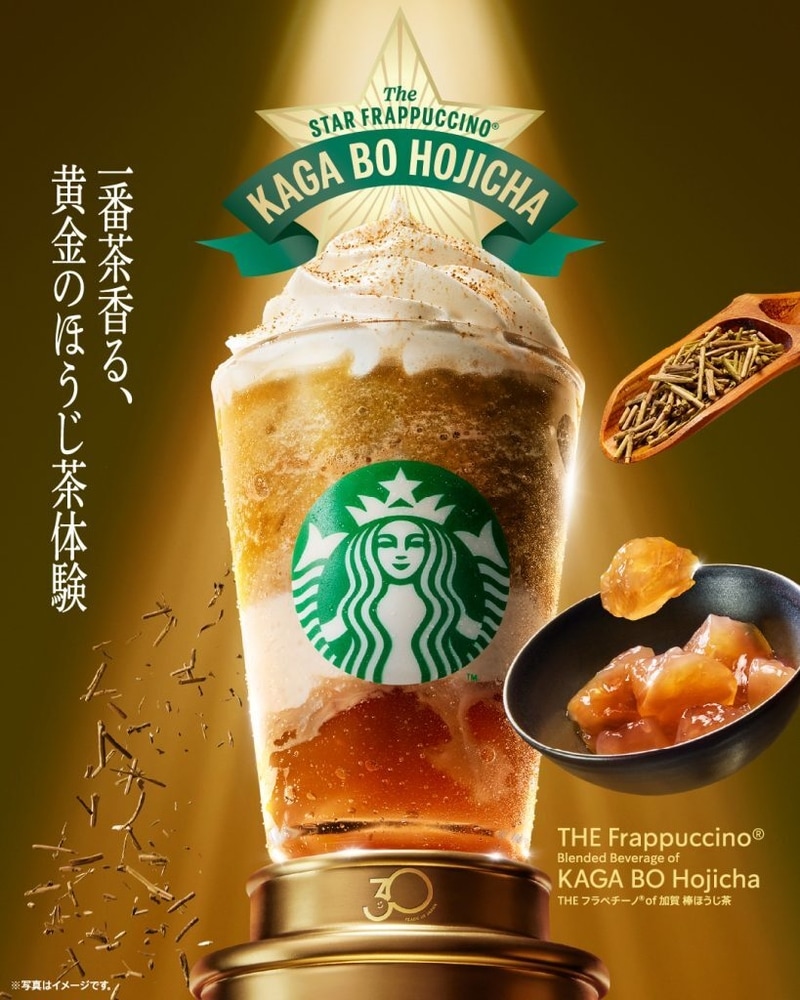 Malt Frappuccino スターバックス デザートカップ 1個 Malt Frappuccino スターバックス デザートカップ 1個 【公式通販】
