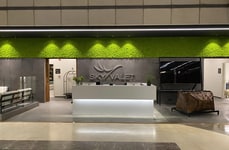Stabilized Moss Green Walls