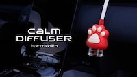 Pet-Friendly Car Diffusers Image 1