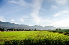 Natural Capital Investment Funds