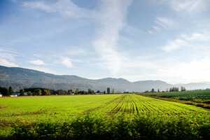 Natural Capital Investment Funds Article Thubnail