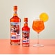 Convenience-Focused Mini Spirits Image 1