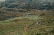 Climate-Positive Fashion Milestones