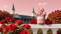 Kentucky Derby Ice Creams Image 2