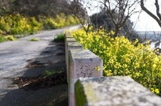 Agentic Robotic Security Patrols