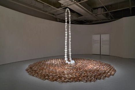 Art Exhibition Installations