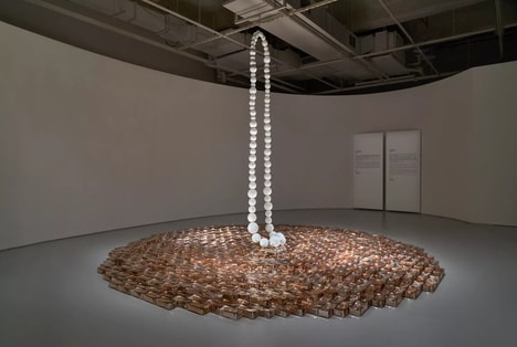 Art Exhibition Installations