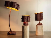 Botanical Light Series Image 1