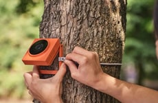 Minimal Wildlife Cameras