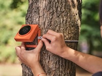 Minimal Wildlife Cameras