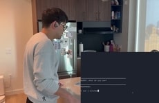 Camera-Integrated Wireless Earbuds