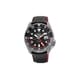 Racing GMT Timepieces Image 1