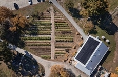 Net-Zero Timber Pavilions