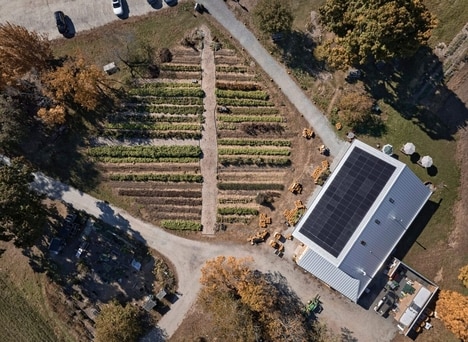 Net-Zero Timber Pavilions