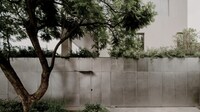 Metal-Based Concrete Homes Image 4