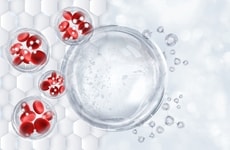 Embryonic-Environment Rejuvenation Therapies