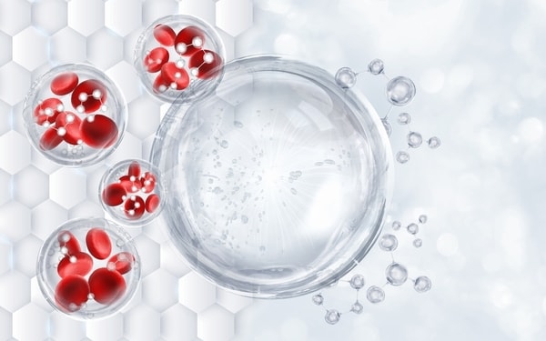 Embryonic-Environment Rejuvenation Therapies