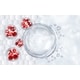 Embryonic-Environment Rejuvenation Therapies Image 1