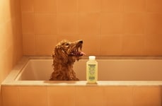 Post-Bath Pet Filters