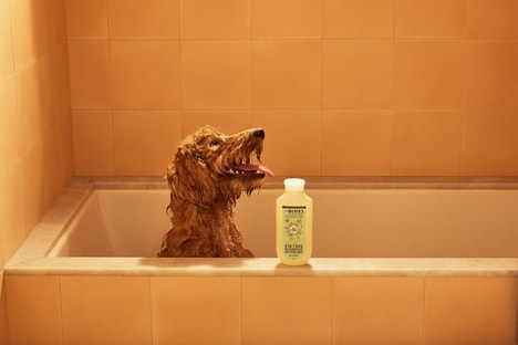 Post-Bath Pet Filters