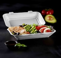 Rigid Protective Food Containers