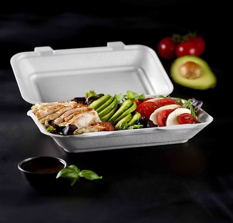 Rigid Protective Food Containers