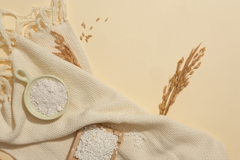 Fermented Rice Bran Ingredients