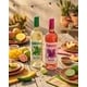 Latino-Inspired Wines Image 1