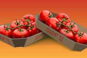 Fiber-Based Vegetable Packaging Article Thubnail