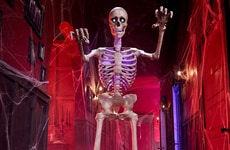 Voice-Controlled Halloween Skeletons