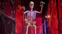 Voice-Controlled Halloween Skeletons