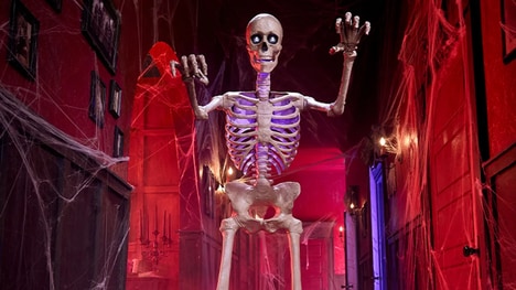 Voice-Controlled Halloween Skeletons
