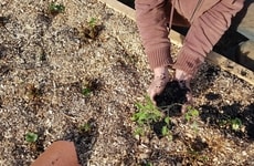 Biochar Carbon Removal Deals