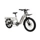 Efficient Cargo-Focused eBikes Image 1