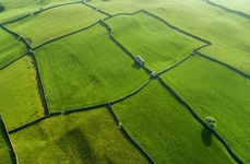 Vertical Solar Energy Startups